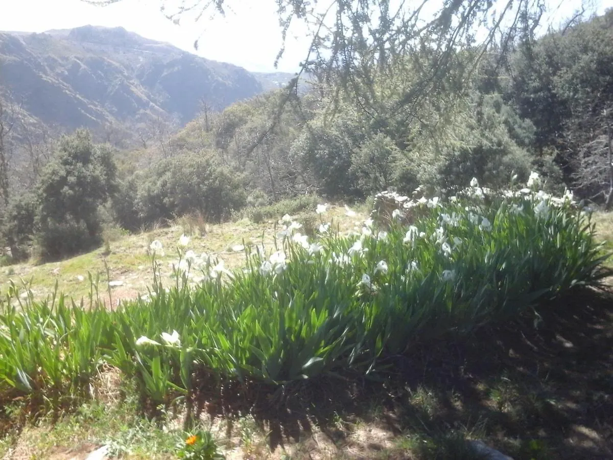 Cortijo El Tesoro Apartment Busquistar 0*,