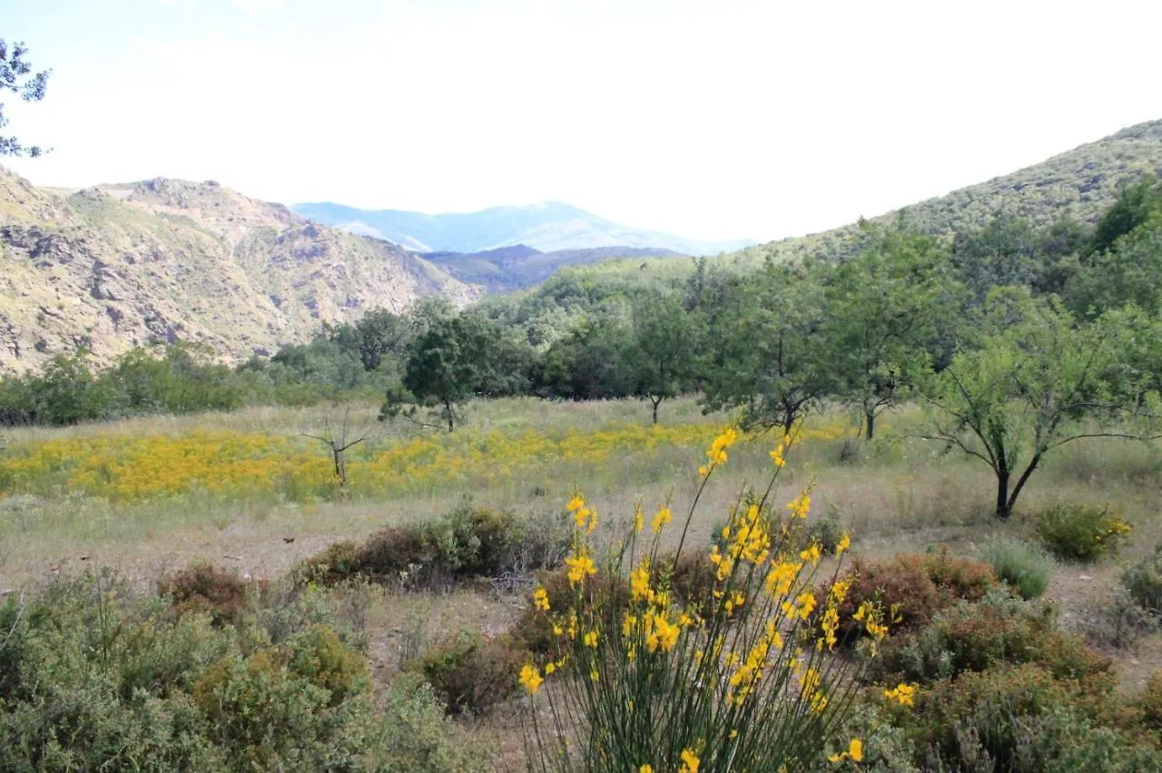 Cortijo El Tesoro Apartment Busquistar 0*,  Spain