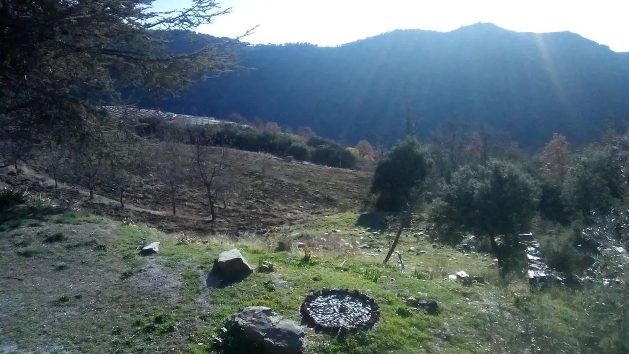 Cortijo El Tesoro Apartment Busquistar